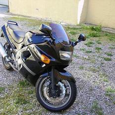 Kawasaki ZZR 600