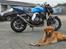 Kawasaki Z750 RR - Glubsk vagthund...