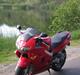 Honda VFR 800  
