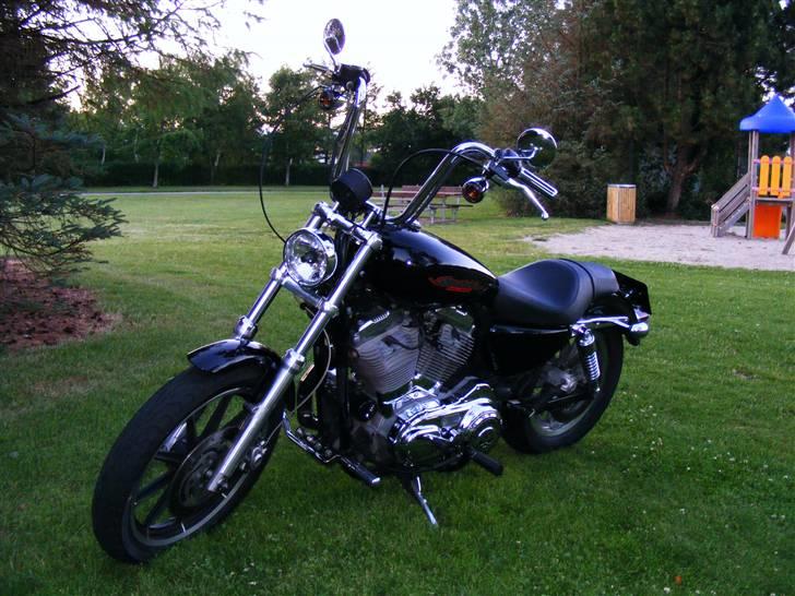 Harley Davidson Sportster XL883 billede 1