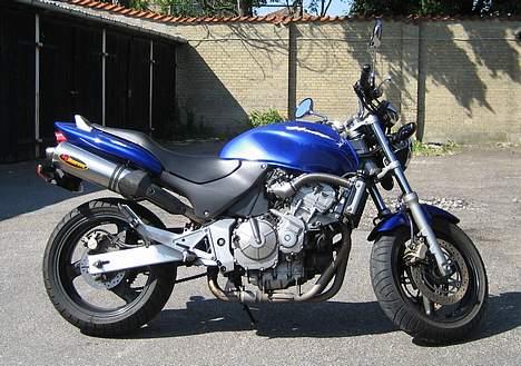 Honda CB 600 F Hornet (solgt) - Nyvasket på en dejlig sommerdag... billede 9