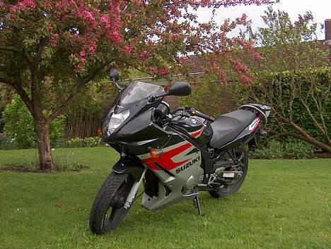 Suzuki GS500/F -- (Solgt) -- billede 1