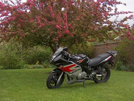 Suzuki GS500/F -- (Solgt) -- billede 2