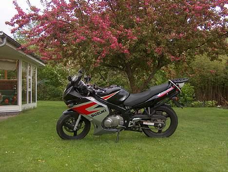 Suzuki GS500/F -- (Solgt) -- billede 3