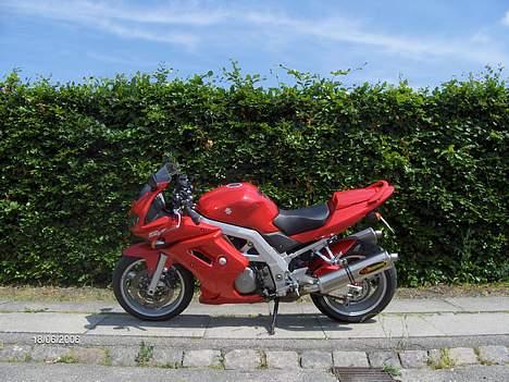 Suzuki  Sv 1000 Solgt billede 2