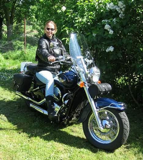 Kawasaki VN 800 CLASSIC  billede 4