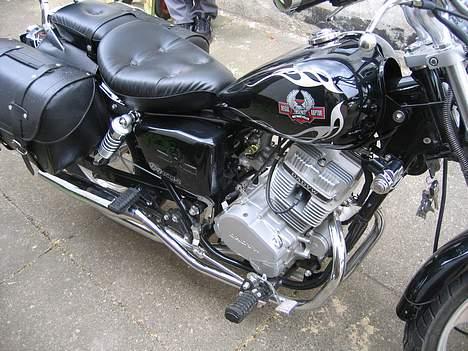 Regal Raptor DD 150 E-2 billede 4