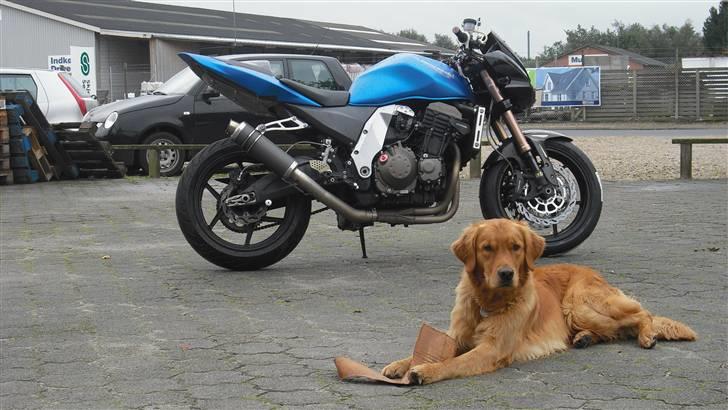 Kawasaki Z750 RR - Glubsk vagthund... billede 2