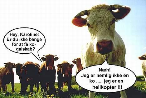 Honda CBR 600 F2 [SOLGT] billede 13