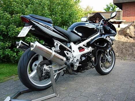 Suzuki TL 1000S billede 3