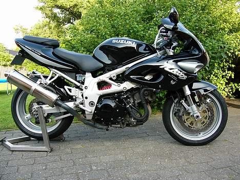 Suzuki TL 1000S billede 4