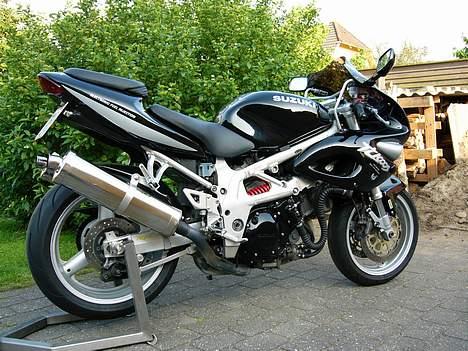 Suzuki tls 1000