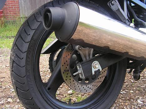 Suzuki gs500f billede 3