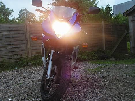 Suzuki gs500f billede 4