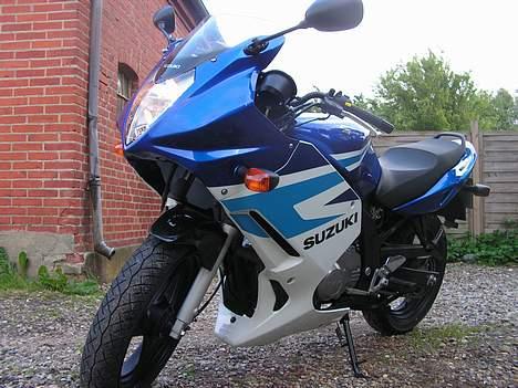Suzuki gs500f billede 6