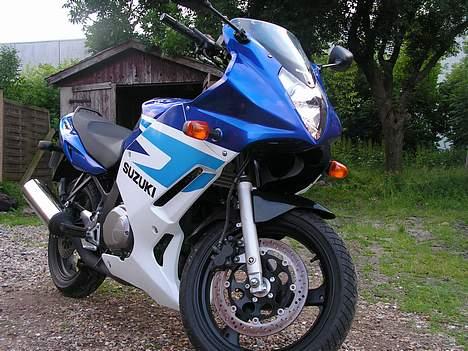 Suzuki gs500f billede 7