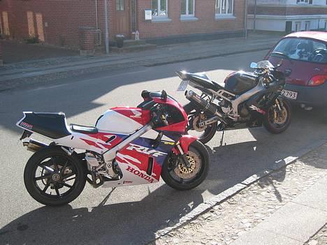 Honda RVF400R NC35 - sammen med kærestens ZX6R Ninja billede 1