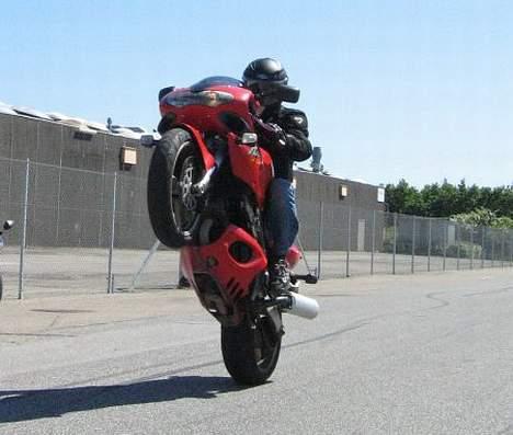 Suzuki TL1000s billede 1