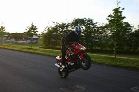 Honda 954rr - Foto: Røssi billede 1