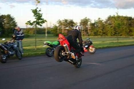 Honda 954rr - Foto: Røssi billede 2