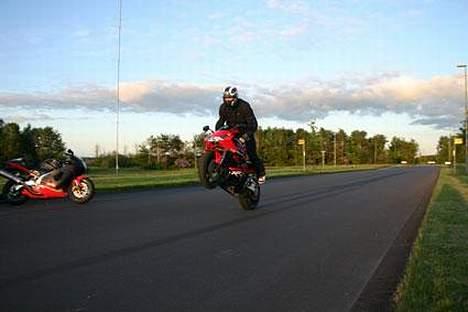 Honda 954rr - Foto: Røssi billede 3