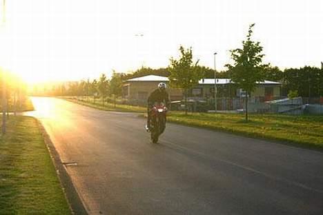 Honda 954rr - Foto: Røssi billede 4