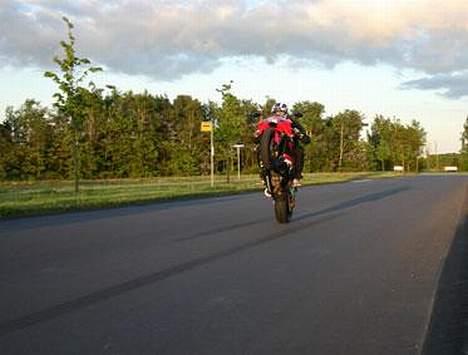 Honda 954rr - Foto: Røssi billede 5