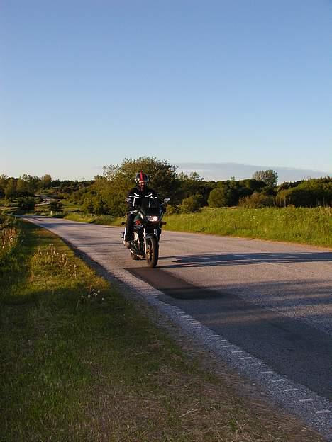 Suzuki GSF 600N [SOLGT] billede 11