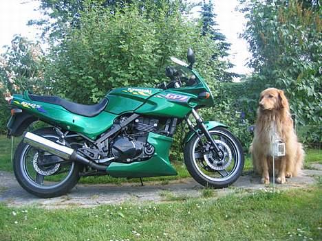 Kawasaki GPZ 500 *SOLGT* - Som I kan se har jeg privat vagtværn til min MC ;o) billede 2