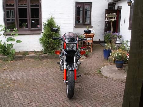 Honda CX 500 E - "En face" som de siger længere sydpå billede 7