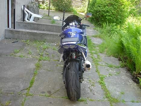 Yamaha YZF-R6 - Venter på en ny Nr plade holder billede 14