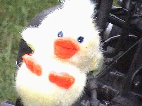 Yamaha FZ 750 billede 9