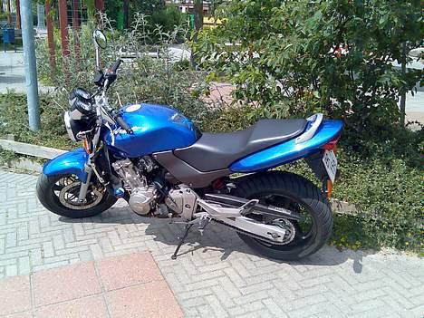 Honda CB600F Hornet *SOLGT* billede 1