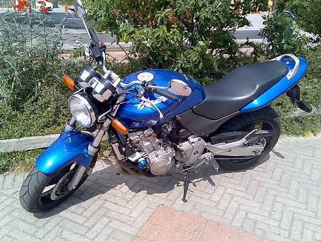 Honda CB600F Hornet *SOLGT* billede 2