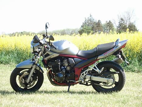 Suzuki GSF 650 Bandit  R.I.P - Min lille skat i sommerens sol...:-) billede 1