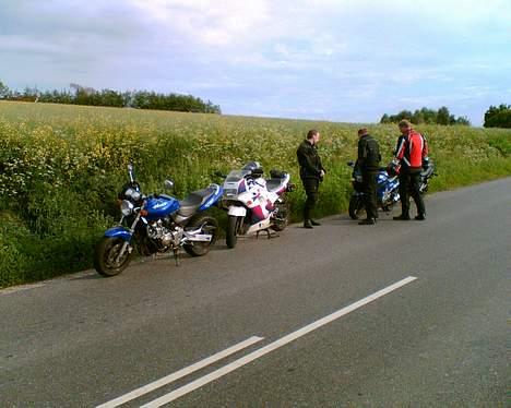 Honda CB 600 F Hornet (solgt) - Ude og slide lidt på de danske landeveje... billede 16