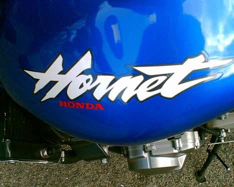 Honda CB 600 F Hornet (solgt) - Hornet.... Bzzzzzzz Bzzzzzzz!!! Float like a butterfly, sting like a bee! billede 17