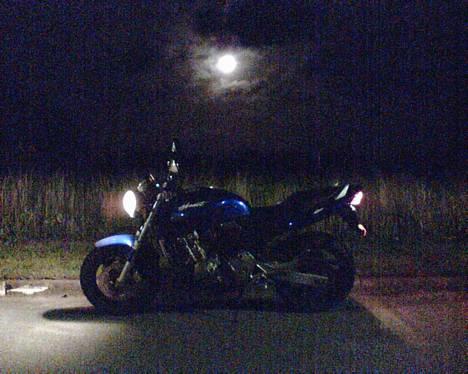 Honda CB 600 F Hornet (solgt) - Fuldmåne: varulve og Hornets hærger natten... billede 18