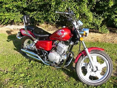 Regal Raptor E150-2 billede 2