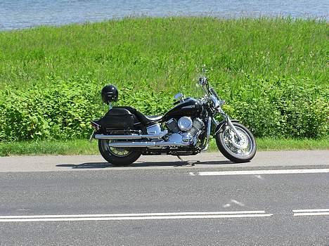 Yamaha dragstar 1100 billede 3