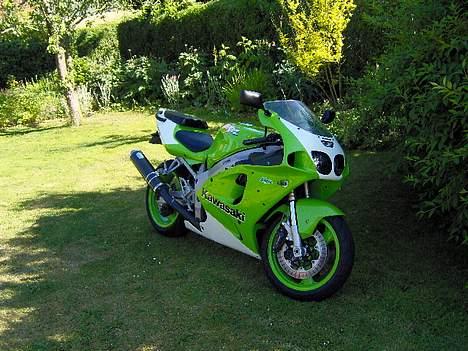 Kawasaki zx7r Ninja billede 1
