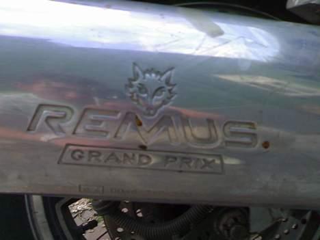 Kawasaki GPZ600R - Solgt - Remus potte, desværre siger den næsten ingenting :P billede 6