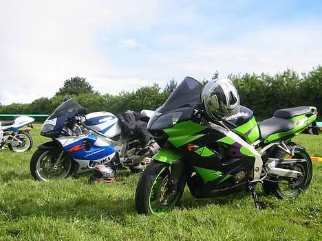 Suzuki TL1000R 2000      STJÅLET billede 6