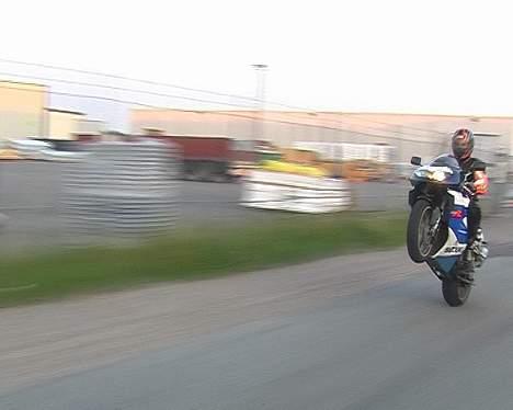 Suzuki TL1000R 2000      STJÅLET billede 8