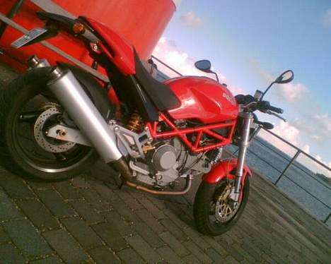 Ducati Monster billede 2