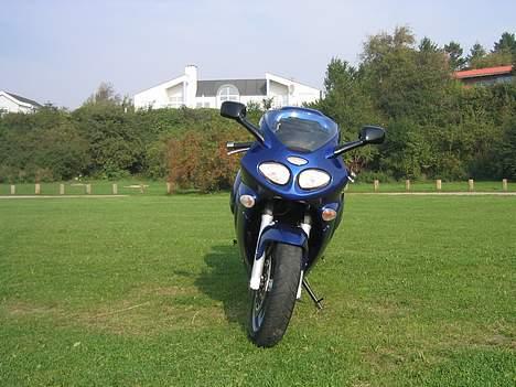 Triumph Sprint ST (solgt) - Originale tasker passer perfekt, sidder lavt og tæt ind til cyklen.  billede 4