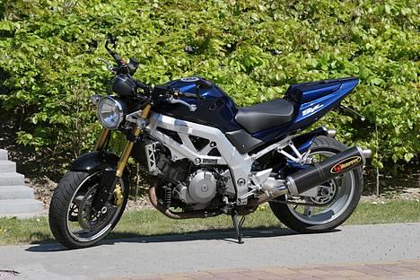 Suzuki SV 1000 *SOLGT* - Min kammerat og hans Canon 20D kiggede lige forbi... billede 3