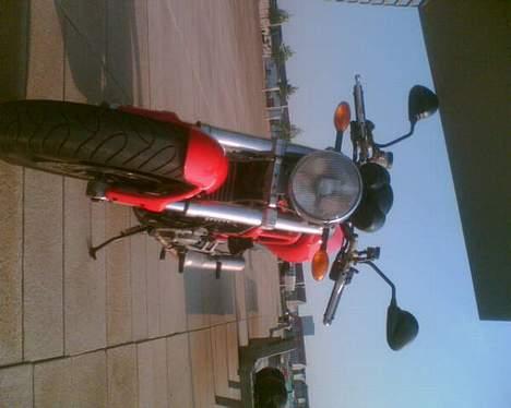 Ducati Monster billede 5