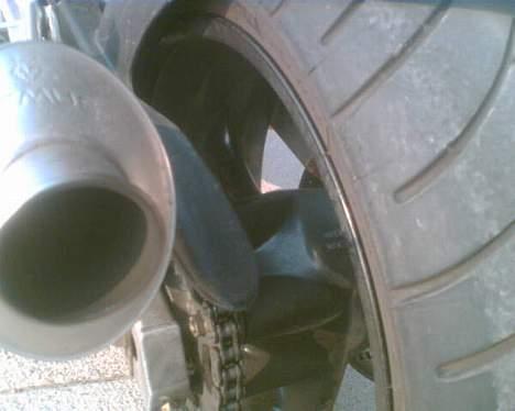 Ducati Monster billede 6