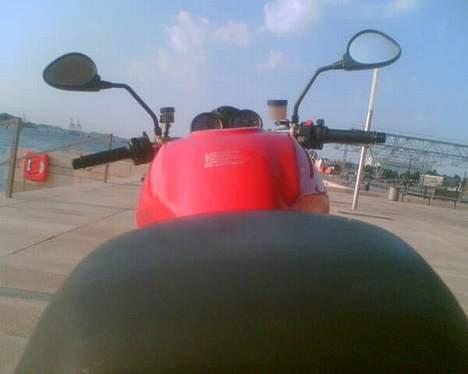 Ducati Monster billede 8